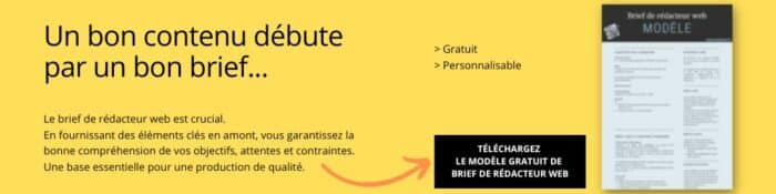 modèle brief de rédacteur web